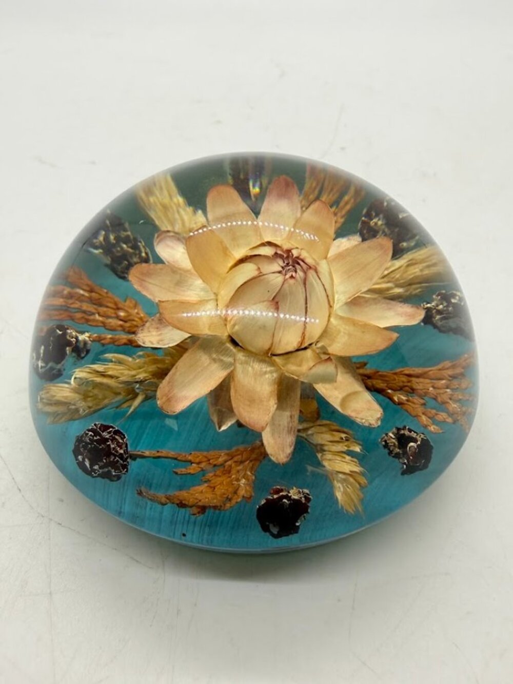 Vintage Dried Flower Paperweight Lucite Resin Acrylic Skipness Scotland 2.75"